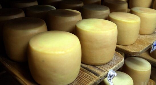 Зачем нужны дырки в сыре: простое объяснение для женщин