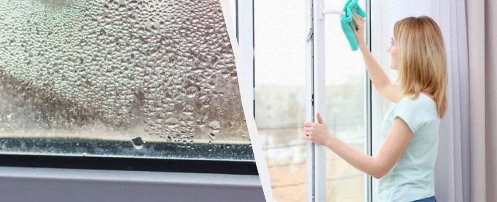 Прощаемся с конденсатом на окнах навсегда: домашние средства для каждой хозяйки