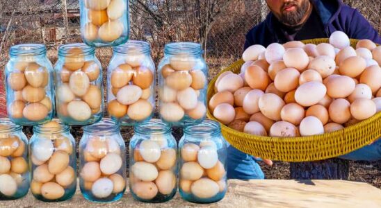 Долгосрочное хранение яиц: секреты запасливых хозяек
