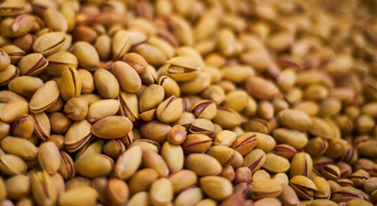 Лайфхак: Фисташковая скорлупа для рассады – секрет пышных растений