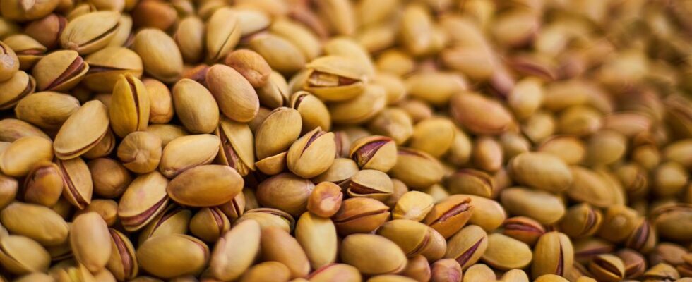 Лайфхак: Фисташковая скорлупа для рассады – секрет пышных растений