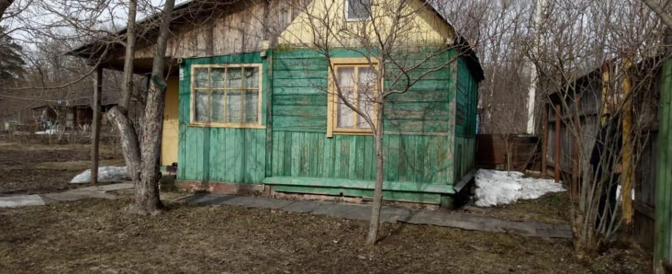 Садовые и огородные лайфхаки: первые дела февраля для вашего участка