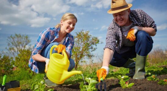 Польза садоводства и огорода: секреты здоровой жизни и отдыха