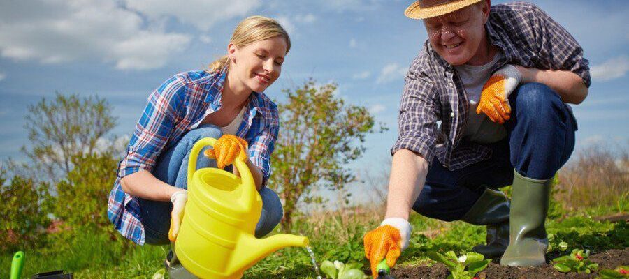 Польза садоводства и огорода: секреты здоровой жизни и отдыха