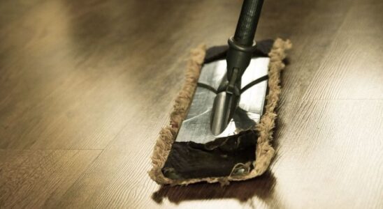 Как часто нужно мыть пол: секреты чистоты в доме