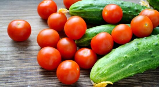 5 мифов о продуктовых сочетаниях: что на самом деле безопасно для здоровья