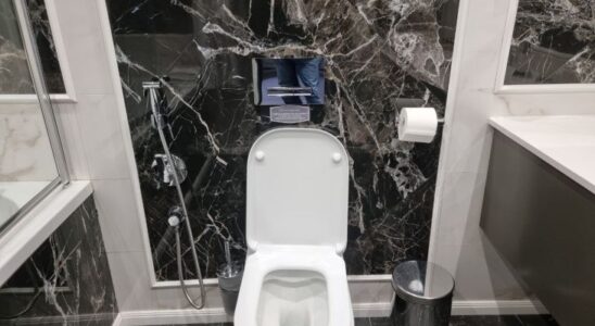 Необычные лайфхаки: зачем наливают перекись на сиденье унитаза