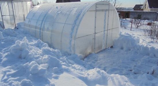 Зимняя теплица: снег или открытые двери – выбираем лучший способ ухода