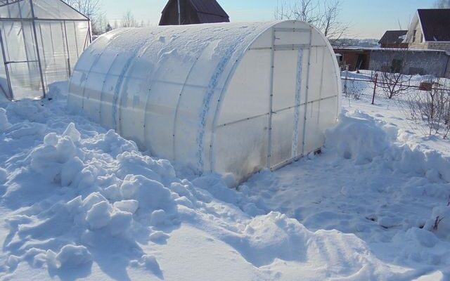 Зимняя теплица: снег или открытые двери – выбираем лучший способ ухода