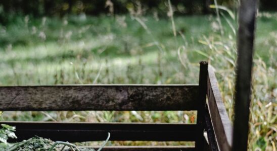 Что нельзя выбрасывать в компост: список запрещенных продуктов