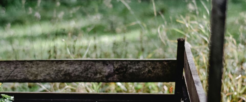 Что нельзя выбрасывать в компост: список запрещенных продуктов