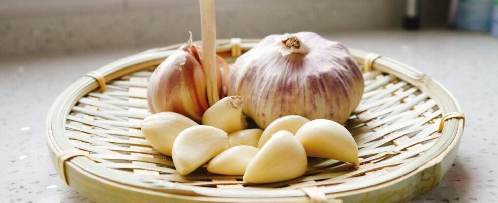 Лайфхаки от шефов: как сохранить пикантность блюда без чеснока