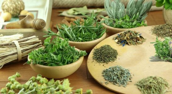 Зелень молодости: секреты диетологов для сохранения красоты и здоровья