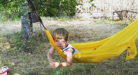 Ленивый огород: как посадить на даче и забыть о хлопотах