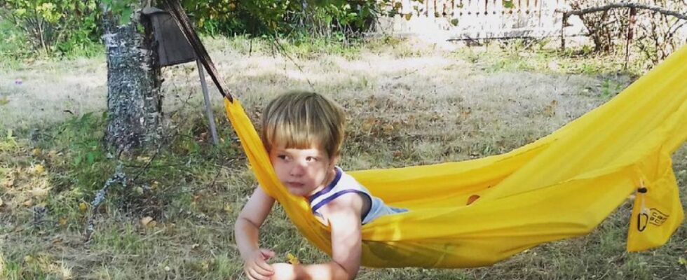 Ленивый огород: как посадить на даче и забыть о хлопотах