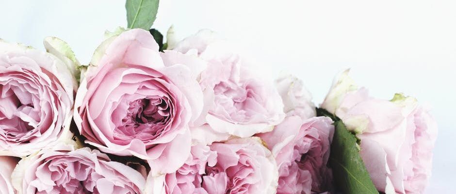 Лайфхаки для продления свежести цветов: секреты и советы