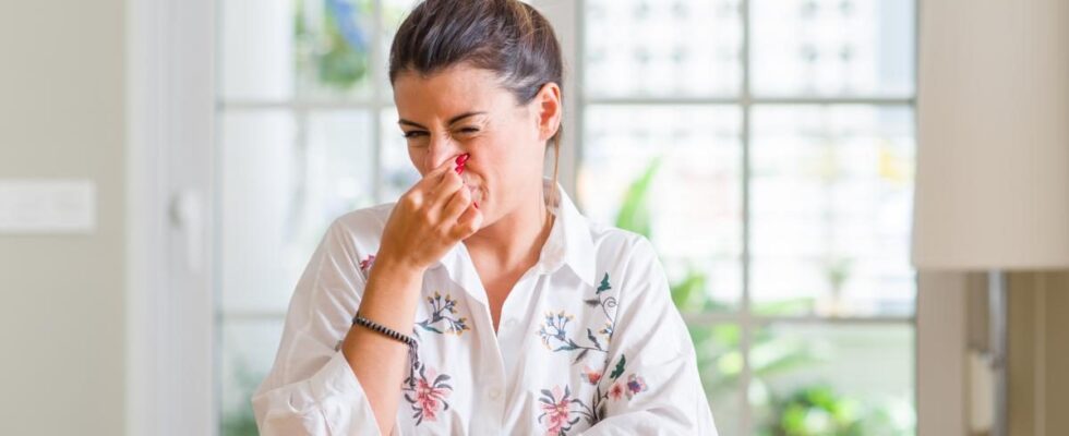 Как избавиться от неприятного запаха в квартире: простые советы