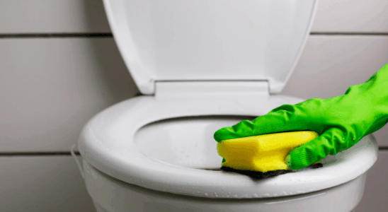 Как добиться идеальной чистоты унитаза дома: простой лайфхак с уксусом