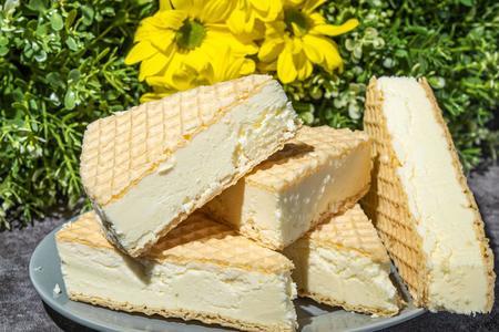 Домашний пломбир: рецепт классического сливочного мороженого