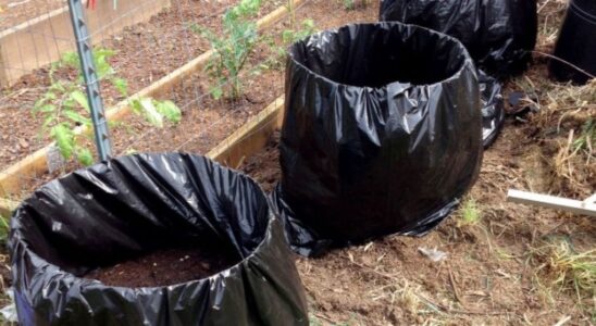 Лайфхаки для дома: ускоряем компостирование и получаем перегной за месяц