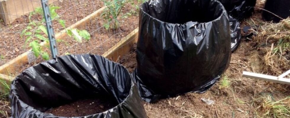 Лайфхаки для дома: ускоряем компостирование и получаем перегной за месяц