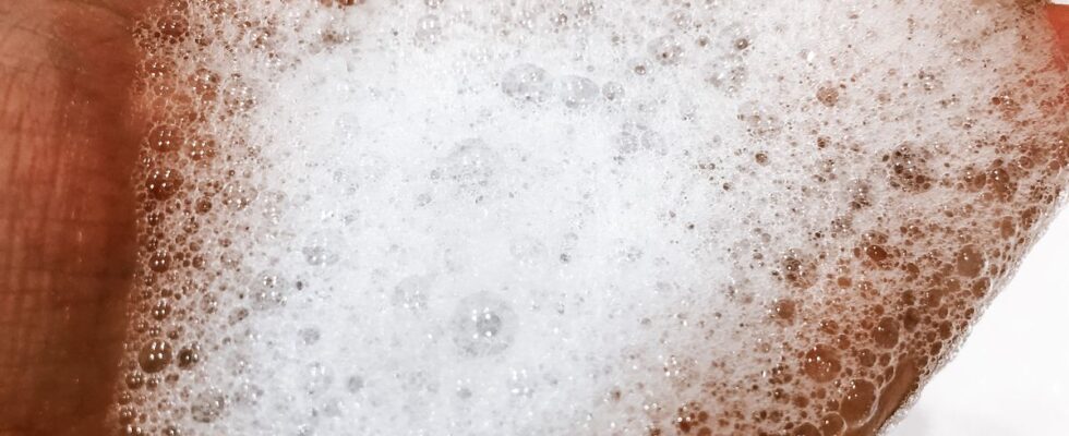 Простой способ проверить качество почвы дома: лайфхак с мыльной пеной