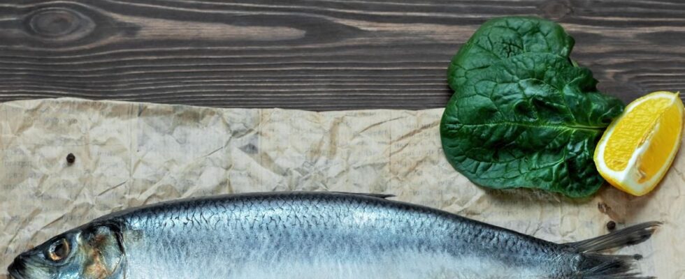 Как выбрать идеальную сельдь с икрой: секреты для праздничного стола