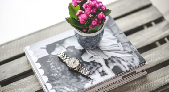 Почему ваше каланхоэ не цветет: причины и решения