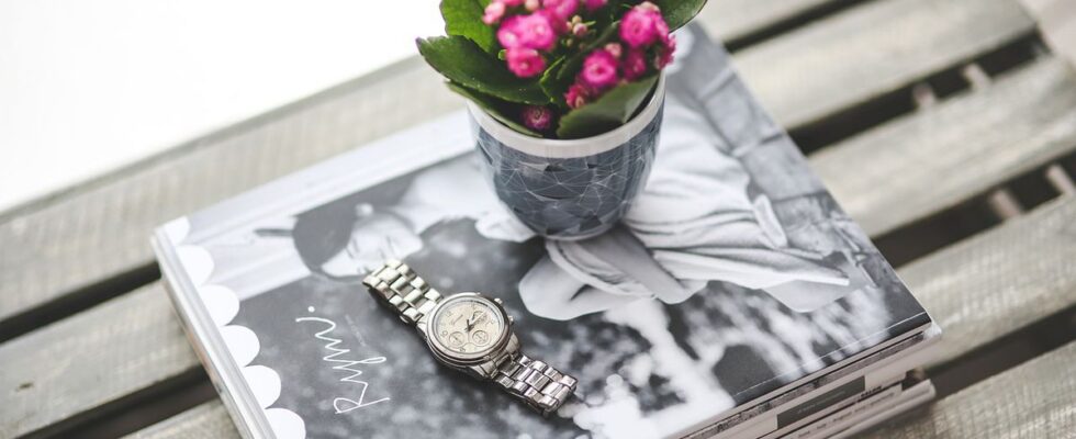 Почему ваше каланхоэ не цветет: причины и решения