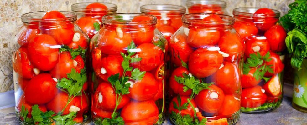 Лучший рецепт маринованных помидоров с чесноком: быстро и без стерилизации