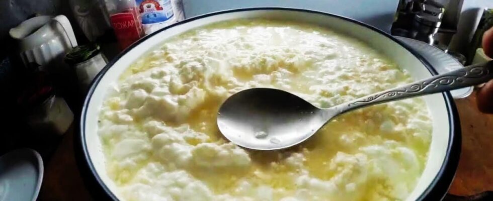 Домашний сыр из кислого молока: секреты приготовления вкуснейшего лакомства