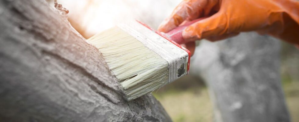 Садовые работы, которые кажутся бесполезными, но приносят пользу