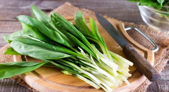 Черемша и яйца: весенний салат по простому рецепту