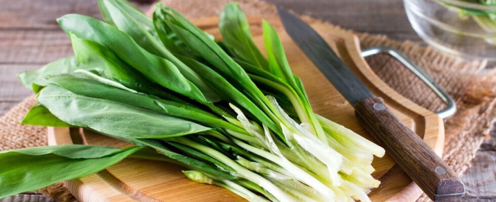 Черемша и яйца: весенний салат по простому рецепту