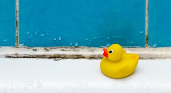 Как избавиться от налета и ржавчины в ванной: секреты чистоты от профессионалов