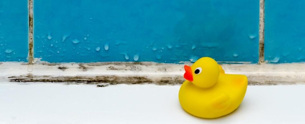 Как избавиться от налета и ржавчины в ванной: секреты чистоты от профессионалов