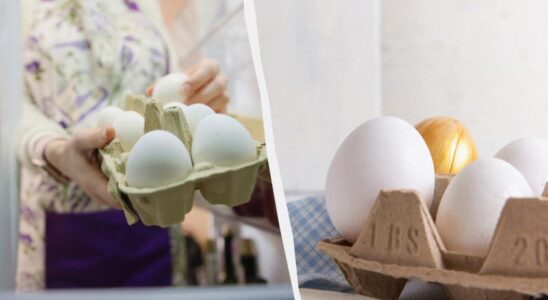 Лайфхаки: Как сохранить яйца свежими месяцами без холодильника