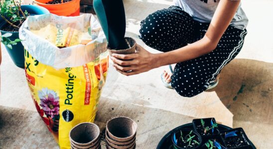 Секреты идеального дренажа для комнатных растений: полный гид