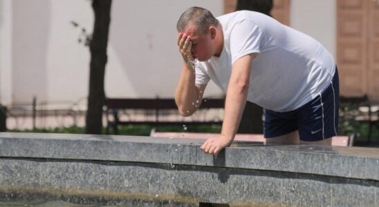 Как справиться с жарой: советы эксперта для здоровья и хорошего самочувствия