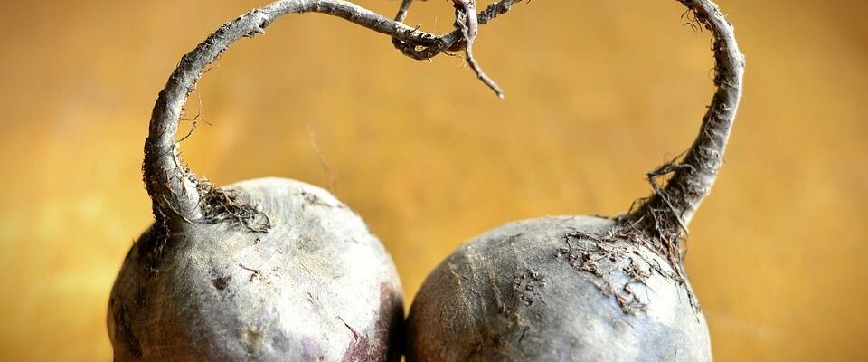 Как сохранить урожай свеклы на зиму: лучшие способы хранения и консервации