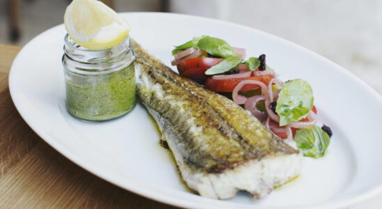 Продукты для зрения: 8 видов рыбы и другие продукты, которые помогут сохранить зрение