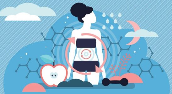 5 привычек в питании, замедляющих метаболизм после 50: что изменить