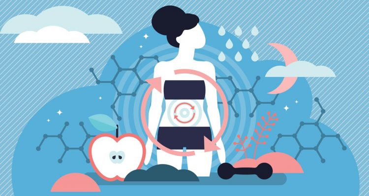 5 привычек в питании, замедляющих метаболизм после 50: что изменить