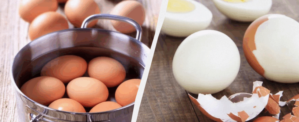 Варим яйца без проблем: секреты легкой очистки