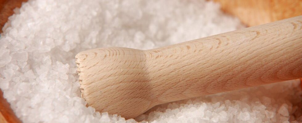 Лайфхаки для дачников: как использовать соль для защиты урожая от вредителей