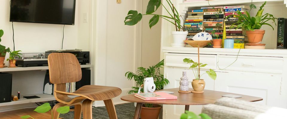 Лайфхаки для дома: Какие комнатные растения любят полив подкисленной водой