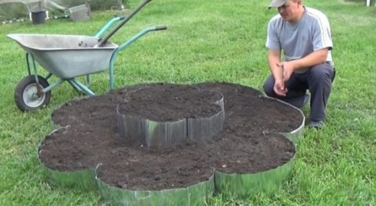 Что такое гуматы и как их правильно применять: полезные советы для ухода за растениями