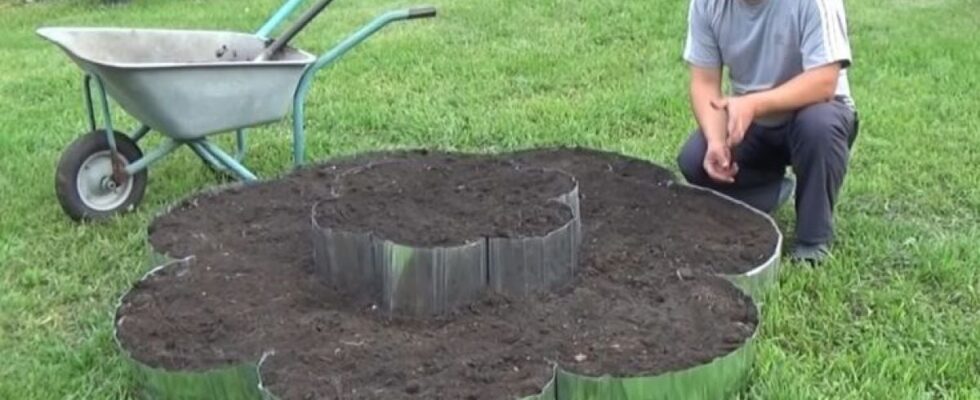 Что такое гуматы и как их правильно применять: полезные советы для ухода за растениями