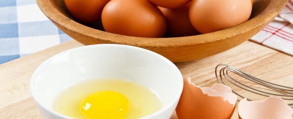 Выбираем яйца правильно: секреты опытных хозяек и главный лайфхак