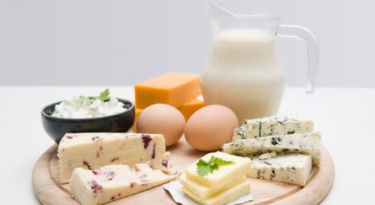 Как похудеть эффективно: сочетание белка и растительных волокон для идеальной фигуры